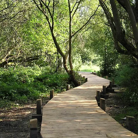 Appartement L'echapee Vue Piscine - Piscine - Parking Hardelot-Plage