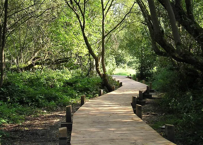 Apartment L'echapee Vue Piscine - Piscine - Parking Hardelot-Plage